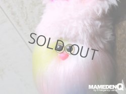 画像11: ◆custom◆モコモコノコ (Ver.ラビット帽)_レインボーＥ