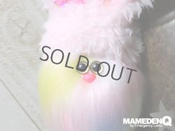画像12: ◆custom◆モコモコノコ (Ver.ラビット帽)_レインボーＥ