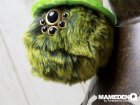 他の写真3: ◆custom◆モコモコノコ (Ver.多眼)_斑Ｅ