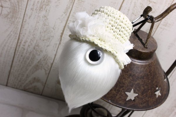 画像9: ◆Paisible×MAMEDENQ◆ ビッグモコノイトコ (Ver.Paisible)_1st edition (9)