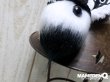 画像15: ◆M:E×MAMEDENQ◆モコモコノイトコ (Ver.HAT＋耳パーツ)_ホワイト＆ブラック (15)