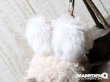 画像6: ◆custom◆モコモコノコ (Ver.ラビット帽)_ウサギＢ (6)